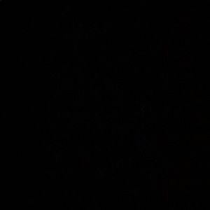 Meet your Posher, Annabelle